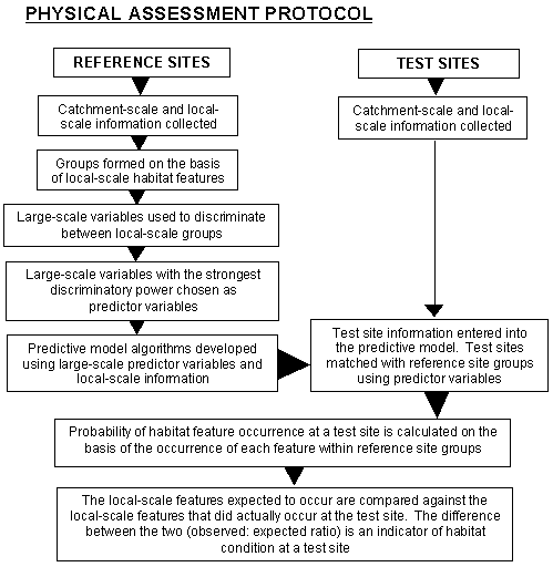 Figure 1.3a Overview of the analytical and assessment process used in the physical assessment protocol (left - top) and AusRivAS (right - below).